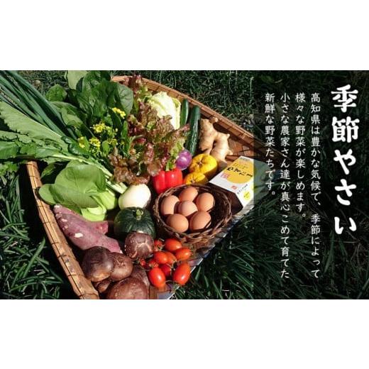 ふるさと納税 高知県 南国市 高知県産　南国土佐の季節野菜と卵（ゆずたま）の詰め合わせセット【新鮮野…