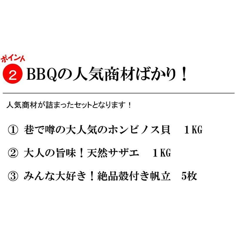 海鮮 バーベキューセット 中 築地直送 3種類2.5kg（ホンビノス1kg・サザエ1kg・ホタテ5枚）バーベーキューＢＢＱ中セット