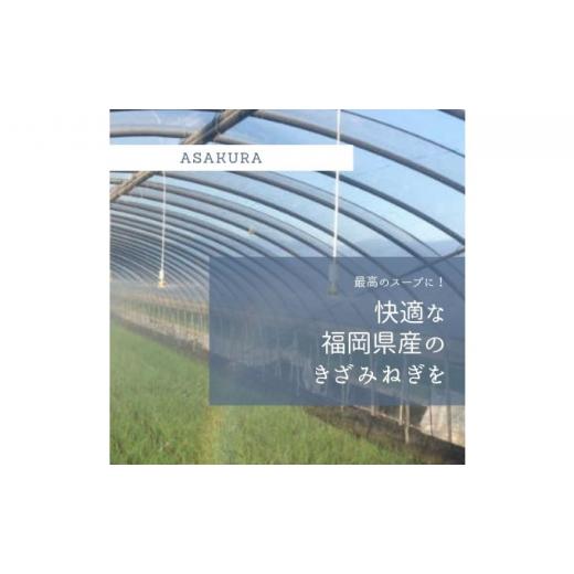 ふるさと納税 福岡県 朝倉市 野菜 カット ねぎ 3kg（1kg×3袋）長ネギ 配送不可エリア有り