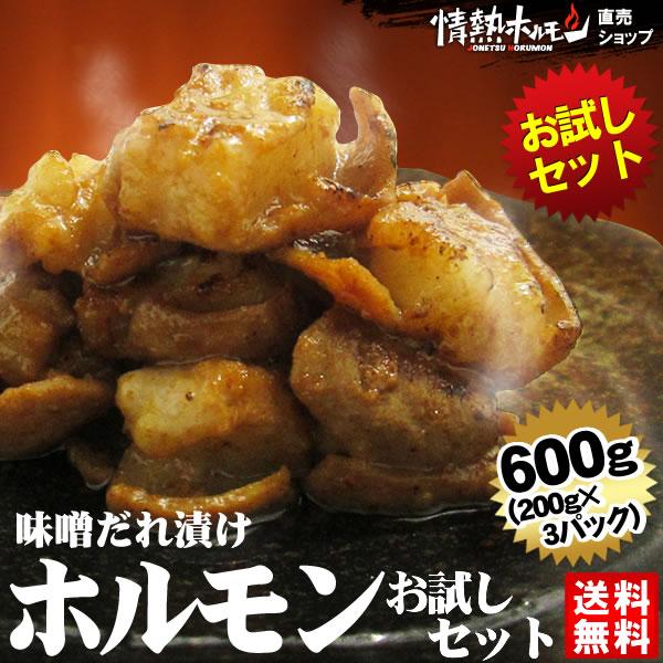 肉 牛肉 焼肉 焼き肉 ホルモン 焼肉 牛ホルモン 味噌だれ漬けお試しセット 600g バーベキュー 焼肉セット BBQ 食品 肉