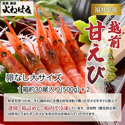 ふるさと納税 美浜町 大好評!越前甘えび　1kg(1箱約30尾入りを2箱お届けします)