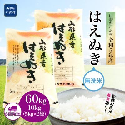 ふるさと納税 戸沢村 令和5年産 はえぬき 60kg 定期便 (10kg×6回) 山形