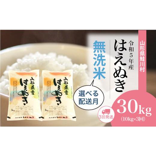 ＜令和5年産＞ 鮭川村産 はえぬき  定期便 30kg （10kg×1ヶ月間隔で3回お届け）