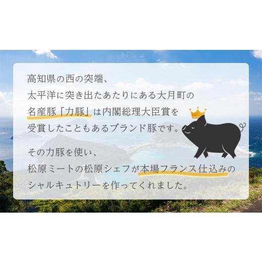 ふるさと納税 高知県 香美市 力豚シャルキュトリーセット 3種 詰め合わせ