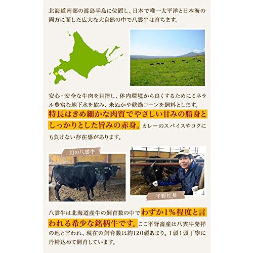極上とろうまビーフカレー 3食入 カレー レトルト 北海道 八雲牛