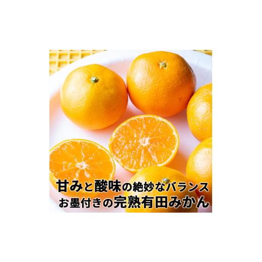 ふるさと納税 和歌山県 広川町 樹上完熟有田みかん　約10kg※2023年11月中旬〜2024年1月中旬頃に順次発送予定※着日指定不可