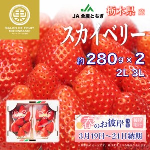 [予約 2024年1月5日-1月30日の納品] スカイベリーいちご 2L 3Lサイズ 約280g × 栃木県産