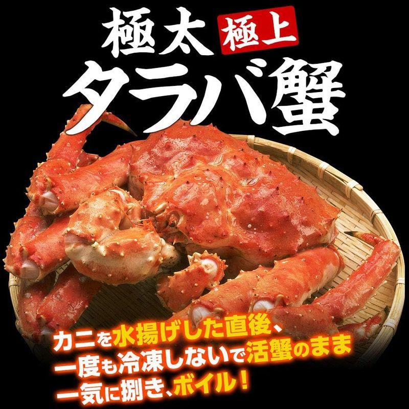 ますよね ボイル タラバガニ 特大900g(総重量1kg) 約2人前 タラバ蟹 たらば蟹 かに カニ 蟹