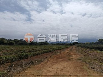 龍潭雙連段風景茶園，環境優美適合投資與休閒｜桃園市龍潭區雙連段