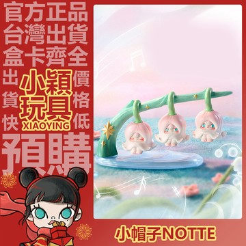 【小穎玩具】隱藏款 1001MOONS 風的來意 系列 盲盒 盲抽 公仔 中盒 端盒 整套 泡泡瑪特 正版 確認款 禮物