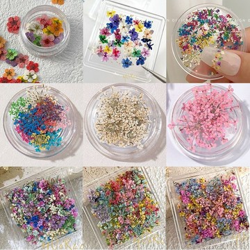 💗台灣出貨💗乾花美甲飾品彩色花朵混款蕾絲小碎花指甲裝飾品穿戴甲材料包用品