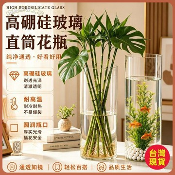 ✈️桃園出貨 全臺免運 ✈️ 【高硼硅玻璃】居家高顏值玻璃花瓶加厚直筒水培綠植實用插花擺件