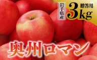  りんご 奥州ロマン 贈答用 3kg 岩手県 金ケ崎町産 10月下旬発送予定