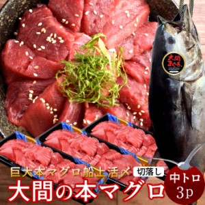 大間マグロ 切り落とし 訳あり［中トロ］200g×3パック |青森県大間産 大間のまぐろ 本マグロ 刺身 規格外 切り落し［秋の味覚 ギフト］