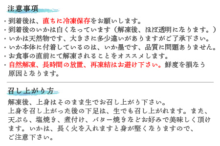 『予約受付』呼子のいか活造り2杯! コリコリ甘い鮮度抜群の透明感! 約200g×2(合計約400g) 刺身 ギフト 冷凍 ※水揚げあり次第5月以降順次発送させていただきます。