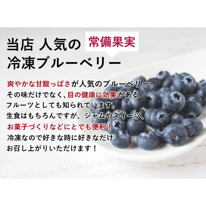 冷凍 ブルーベリー 約600g (100g×6個) ブルーベリー フルーツ 果物 指定日対応 送料無料 サイズ混合 母の日 アイス