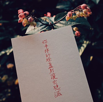 此時此刻。手持的燈盞別讓它熄滅 文字明信片 青青的島