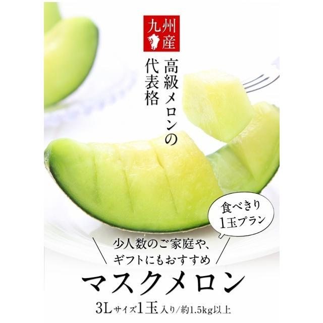 ギフト お歳暮 九州産 マスクメロン 秀品1玉  3Lサイズ 約1.5kg以上 送料無料 フルーツ 果物 高級 メロン 7-14営業日以内に発送予定