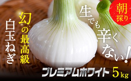 浜松篠原産新白玉ねぎプレミアムホワイト5キロ