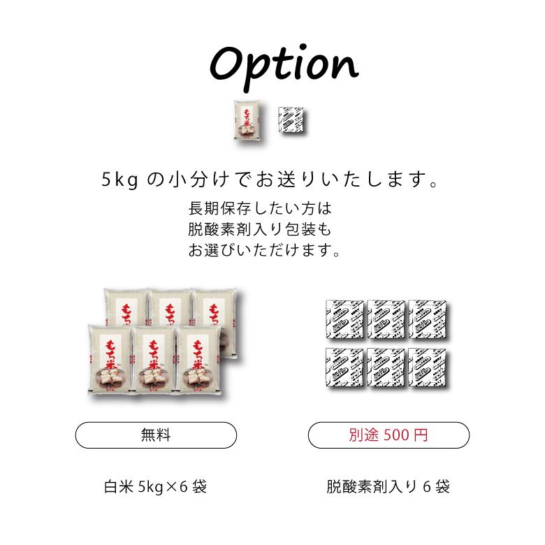 新米 米 もち米 精米30kg ヒヨクモチ 熊本県産 令和5年産 30kg