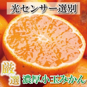 ＜先行予約＞厳選 小玉な有田みかん4.5kg 135g（傷み補償分） 蜜柑 オレンジ 柑橘 産地直送 S ※着日指定不可 ※北海道・沖縄・離島への配送不可 ※2023年11月上旬～2024年1月下旬頃に順次発送予定