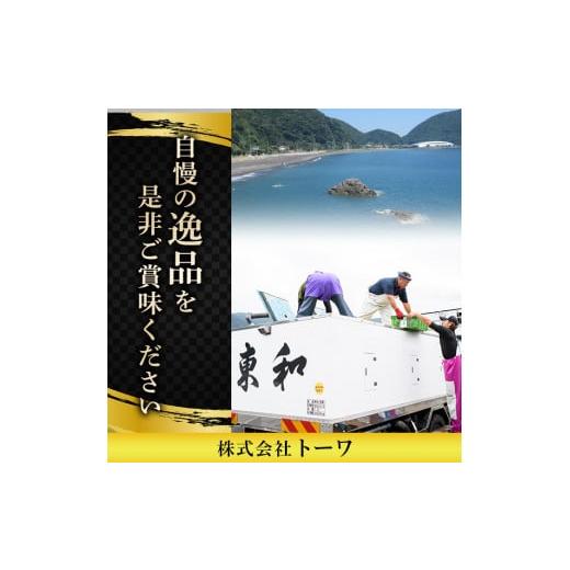 ふるさと納税 大分県 佐伯市 ＜着日指定必須＞生簀直送 とらふぐ 刺身 セット (4-5人前)