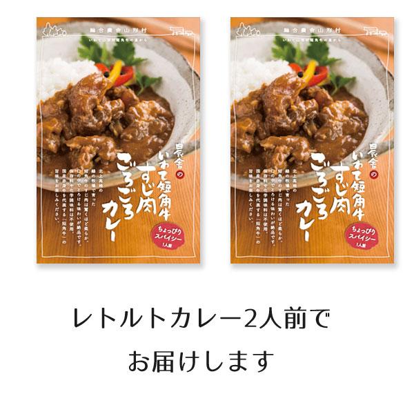 いわて短角牛 すじ肉ごろごろカレー 2食セット レトルトカレー 保存料・化学調味料不使用