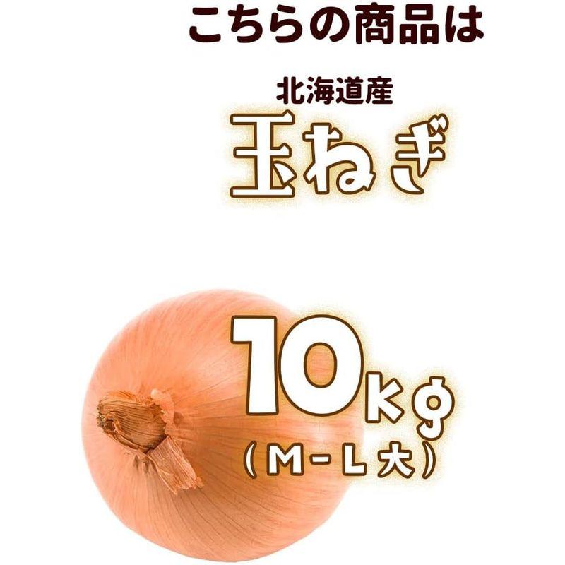 ギフト 北海道産 玉ねぎ L? L大 10kg