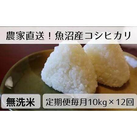 ふるさと納税  無洗米10kg　新潟県魚沼産コシヒカリ「山清水米」(5kg×2袋) 新潟県十日町市