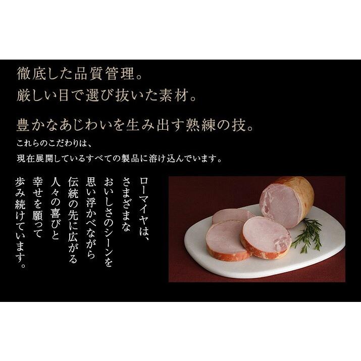 お歳暮 ハム ローストビーフ 生ハム ソーセージ 詰合せ ローマイヤ 送料無料 ギフト 歳暮  肉 セット プレゼント クリスマス