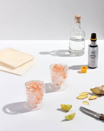 美國W&P碎冰製冰盒