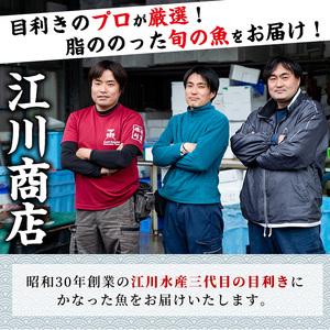 ふるさと納税 ＜訳あり＞朝獲れ発送！鮮魚問屋が厳選した氷締め伊勢海老(2尾・総量1kg以上) 鹿児島県東串良町