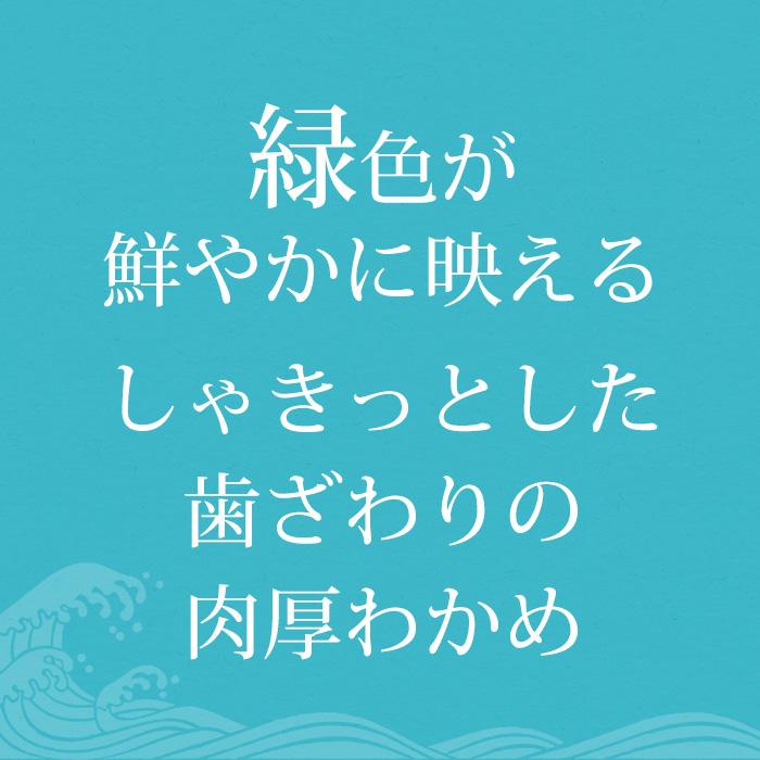 わかめ 三陸産 塩蔵生わかめ 約1kg