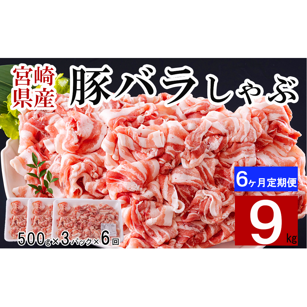  宮崎県産 豚バラ しゃぶしゃぶ 切落し 合計9kg 500g×3パック 小分け 冷凍 送料無料 国産 普段使い 炒め物 丼 切り落とし 薄切り うす切り セット 冷しゃぶ サラダ 野