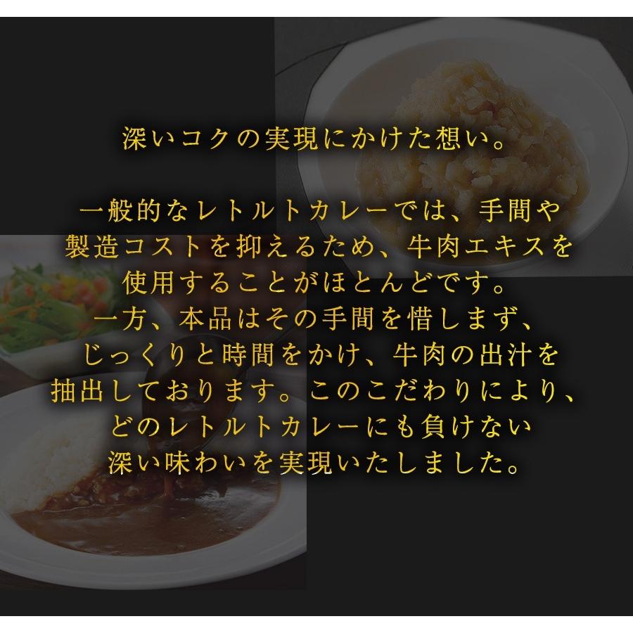 食研カレー 日本食研 3kg×4袋 欧風ビーフカレー 大容量 業務用 レトルト ケース販売