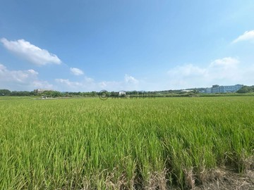 小喬獨家后里景觀千坪農地｜台中市后里區新中社段