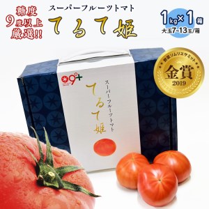  てるて姫 小箱 約800g × 1箱  糖度9度 以上 スーパーフルーツトマト 野菜 フルーツトマト フルーツ トマト とまと [AF070ci]