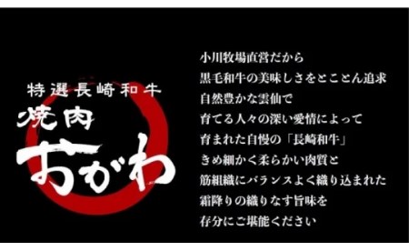 雲仙育ち おがわ牛 バラエティーセットB（A4～A5ランクのみ使用）