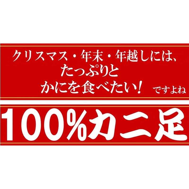 ギフト カニ ポーション 刺身 ズワイガニ 訳あり かに 蟹 生食OK ズワイガニ 約1kg 《約500g(正味400g)×2袋》入（折れポーション）