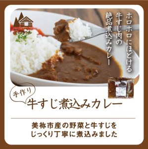 手作り 牛すじ煮込みカレー (冷凍)