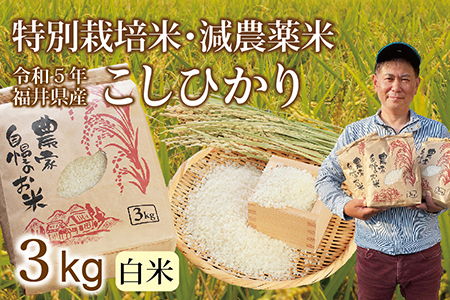 新米〉減農薬米 こしひかり 3kg ／令和5年福井県産 （白米）