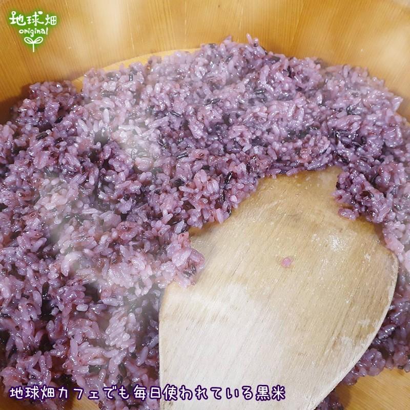 有機黒米 300g (メール便送料無料) 有機JAS 有機米 有機栽培 雑穀米 古代米 玄米 無添加 国産 くろごめ くろまい 紫黒米 紫米