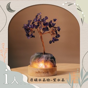 守護。運勢【Montagne】原礦水晶樹｜紫水晶 I人 內斂理智 心思細膩 財富 運勢 貴人 權利 守護 開智慧 創意激發 居家擺設 辦公室 開業 好友 閨蜜 職場禮 生日禮