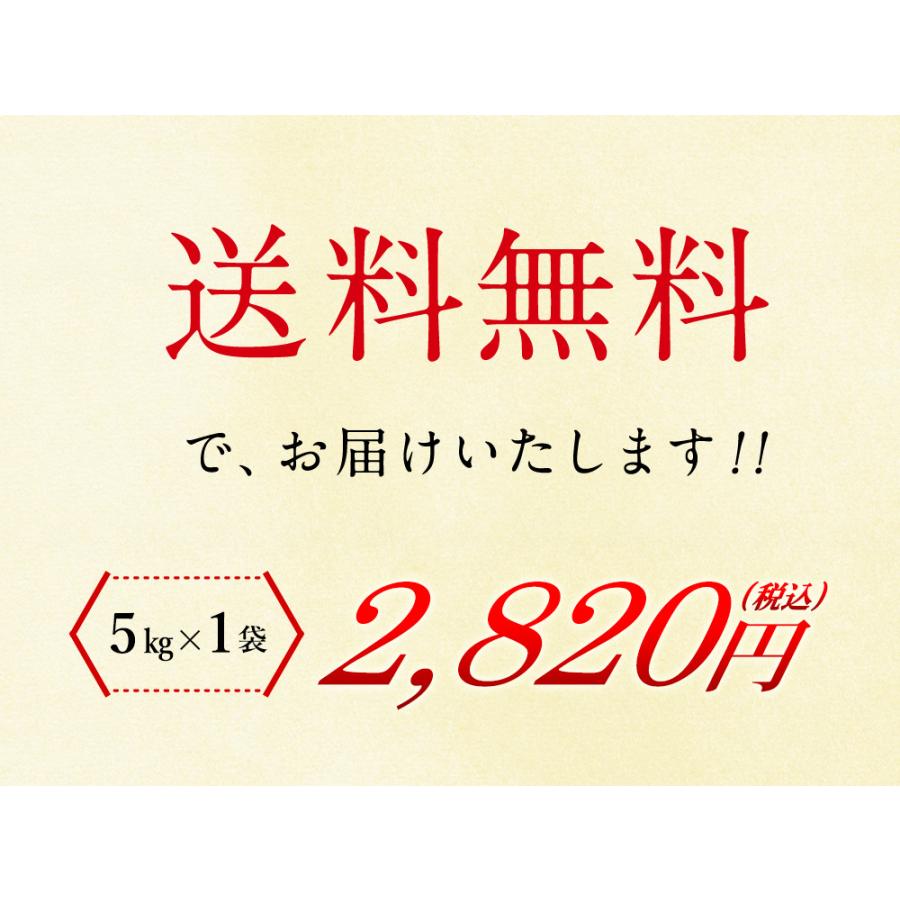 新米 無洗米 北海道産ゆめぴりか5kg（5kg×1袋）  送料無料 令和5年度産 お米 5kg 北海道 ブランド米（北海道・沖縄別途送料）（配達日・時間指定は不可）