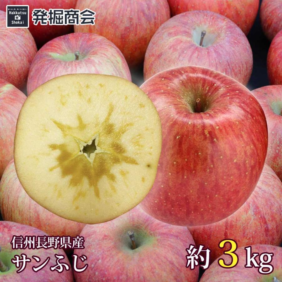 りんご サンふじ 約3kg 2023年収穫 信州 長野県産 期間限定