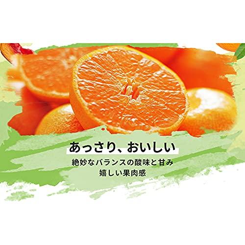 ドール　缶詰　みかん　227gx6個　Dole