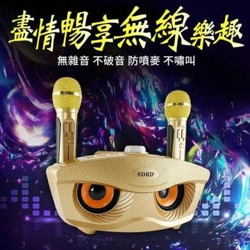 顏色-土豪金 【Love Shop】SD306猫頭鷹雙人伴唱無線麥克風 全民k歌/歡唱/天籟k歌 家庭KTV附二支麥克風藍牙
