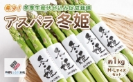 希少!冬期生産伏せ込み促成栽培アスパラ「冬姫」M～L　約1kg アスパラ グリーン 野菜 健康 北海道 美幌町 送料無料 BHRG070