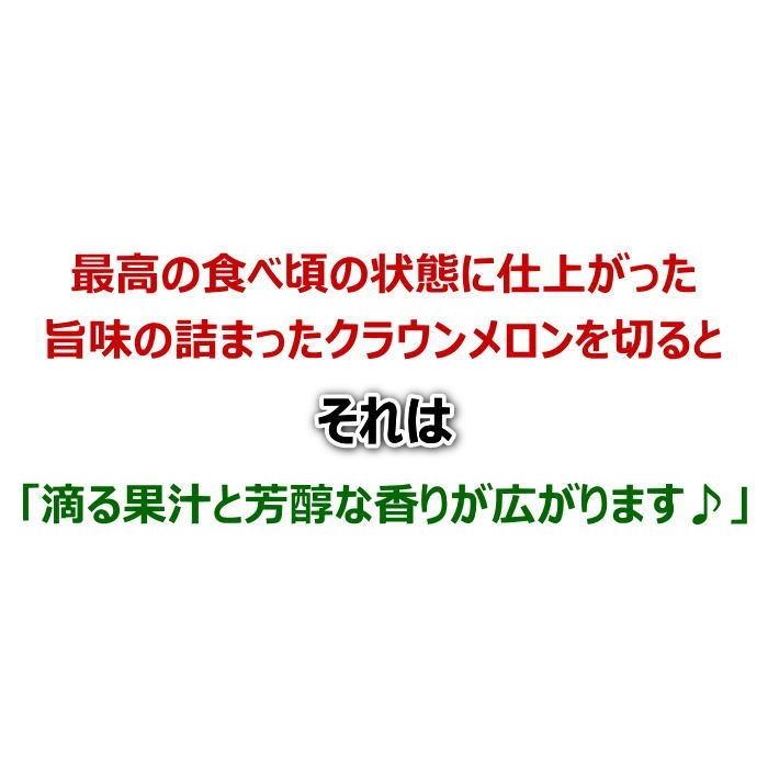 静岡県産　クラウンメロン1玉　約1.2〜1.3kg