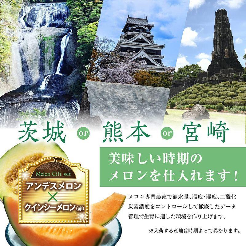 メロン 完熟 高級 徳秀A 野菜ソムリエ監修メロン 熨斗対応可能 1玉 約800g~1.3kg (クインシーメロン（赤肉）)